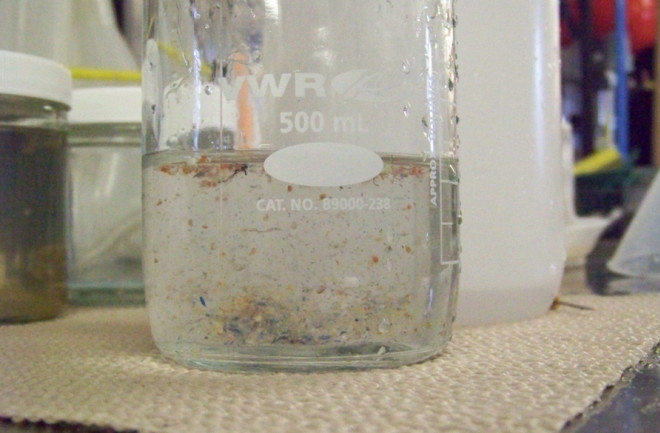 Plastic Garbage Plankton - NOAA