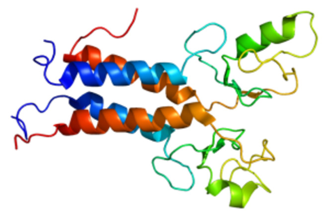 Protein_BRCA1_PDB_1jm7-300x203.png