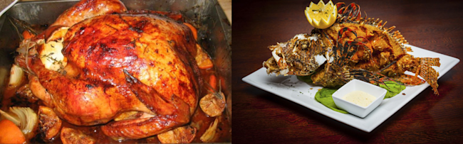 Turkey_vs_turkeyfish-1024x320.png