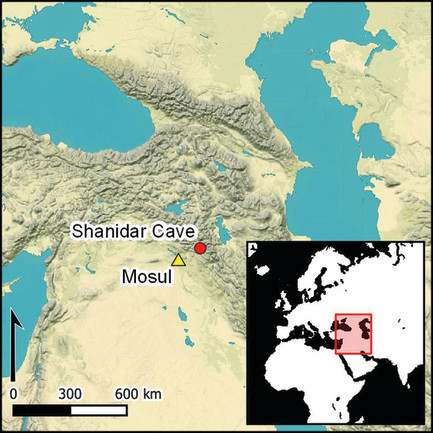 Return to Shanidar: Surprise Neanderthal Skeleton Find at Famous ‘Flower Burial’ Site