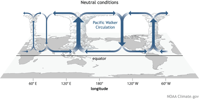 Walker-Circ.gif