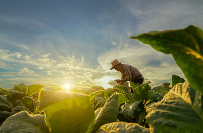 Farming