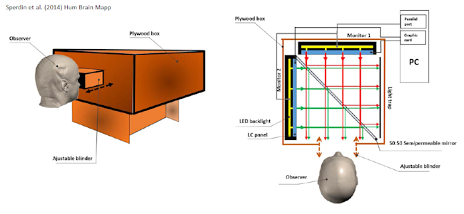 sperdin_tachistoscope.png