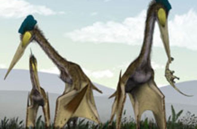 pterosaurs flying lizards