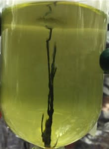 Beaker-3-220x300.jpg