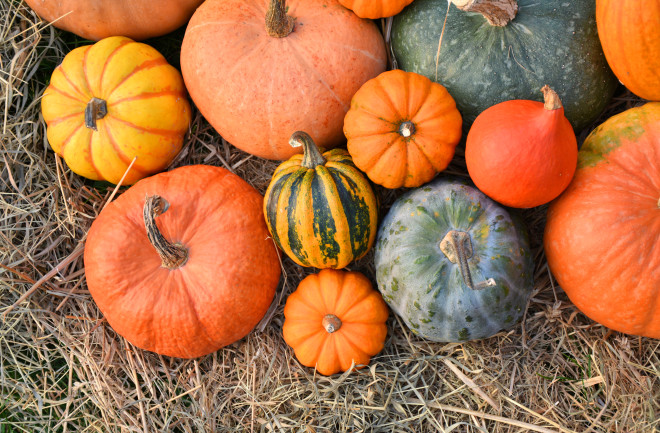pumpkin varieties - Shutterstock