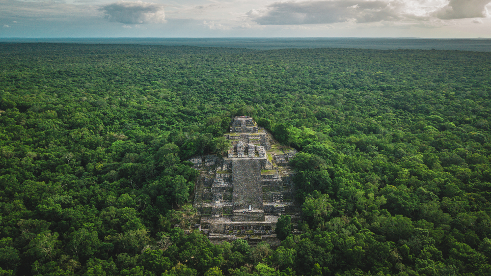 Mayans: Overview of the Civilization and History - History
