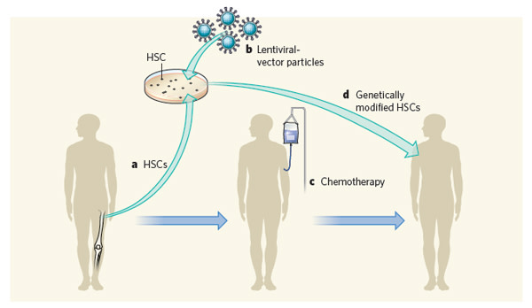 Gene_therapy.jpg