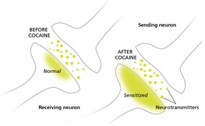 neuronsoncoke