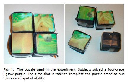 puzzle1