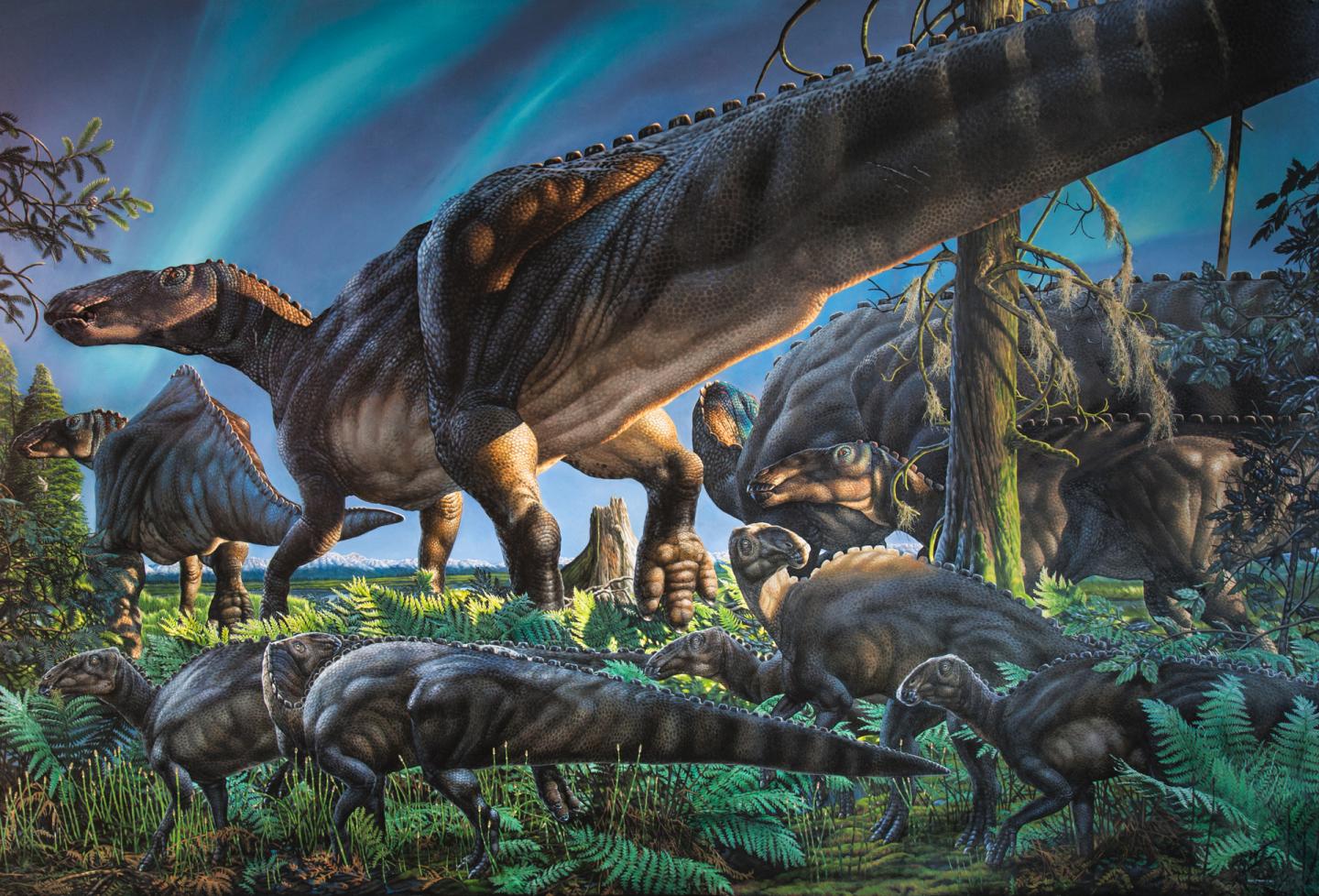 Cows of the Cretaceous: 4 Fascinating Duck-Billed Dinosaurs