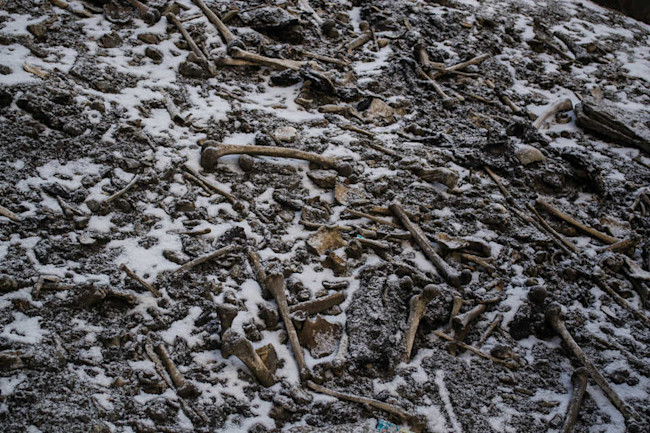 Skeleton Lake Bones - Himadri Sinha Roy
