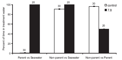 ParentSeawater.jpg