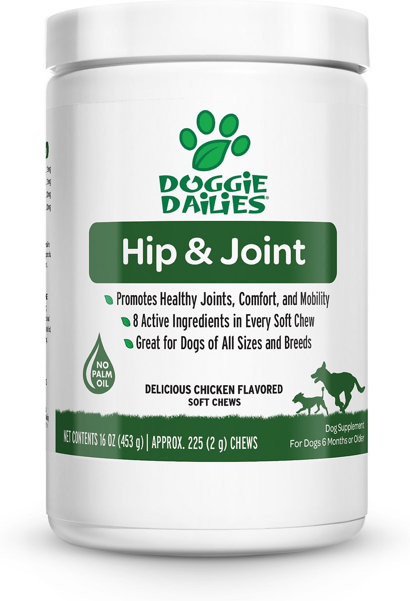 what is the best joint supplement for large dogs