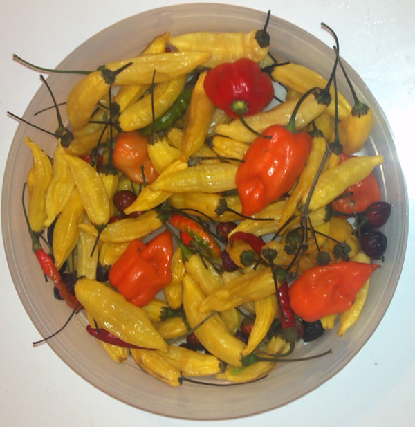 2012-11-02-20.49.jpg