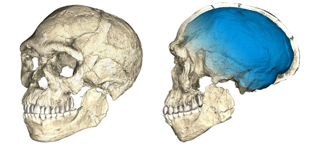 Figure-11-1024x491.jpg