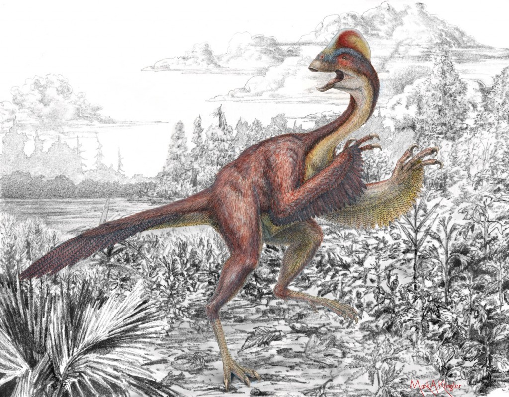 Giant "Chicken From Hell" is New Dinosaur Species Discover Magazine