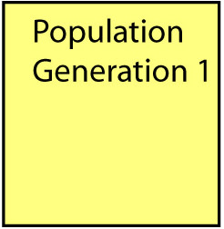 population1gen1.jpg
