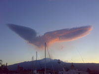 cloud_bird.jpg