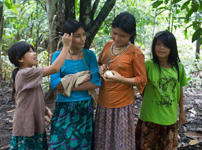Tsimane