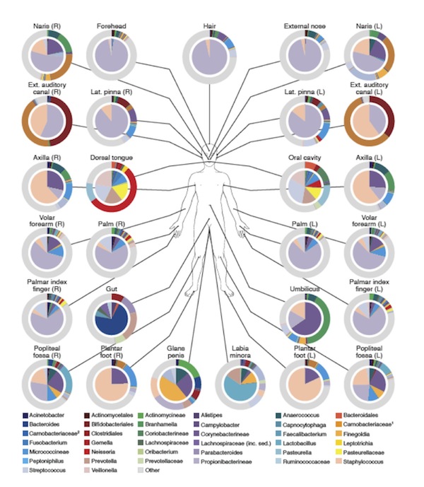 microbiome-survey.jpg
