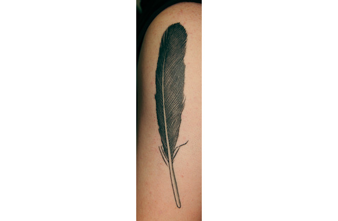 Archaeopteryx The Embargoed Tattoo Discover Magazine Archaeopteryx The Embargoed Tattoo Discover Magazine