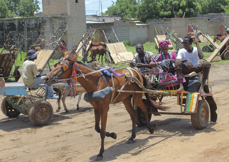 senegalese farming town