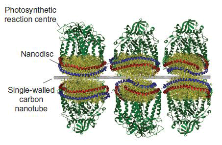selfassembsolarcell.gif