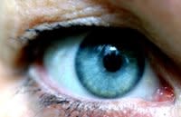 blueye-797381.jpg