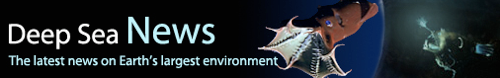 DSN.png