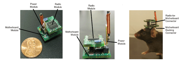 Wireless_optogenetics.gif