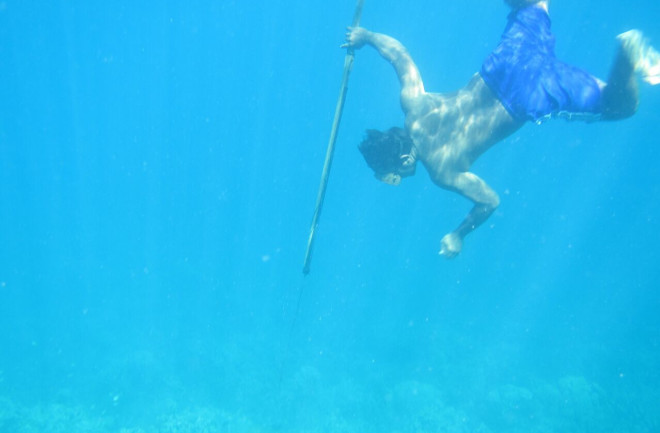A-Bajau-diver-hunts-fish-underwater-using-a-traditional-spear-CREDIT-Melissa-Ilardo_preview.jpeg