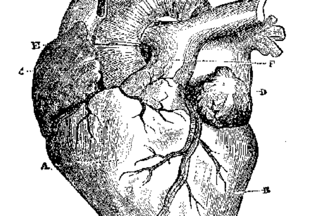 heart_pic.png