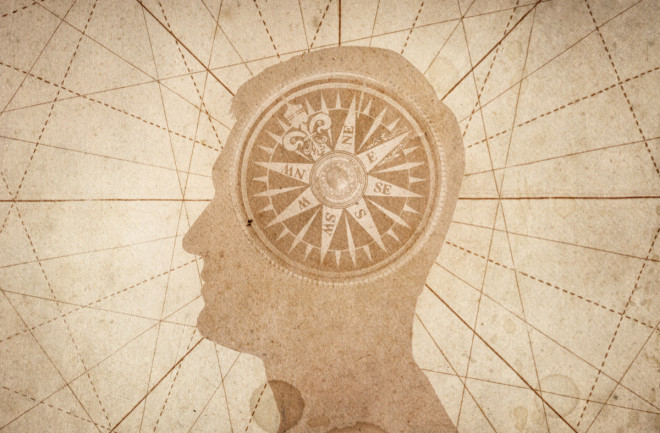 compass brain