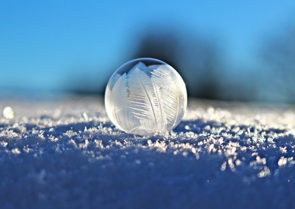 snowballhead.jpg