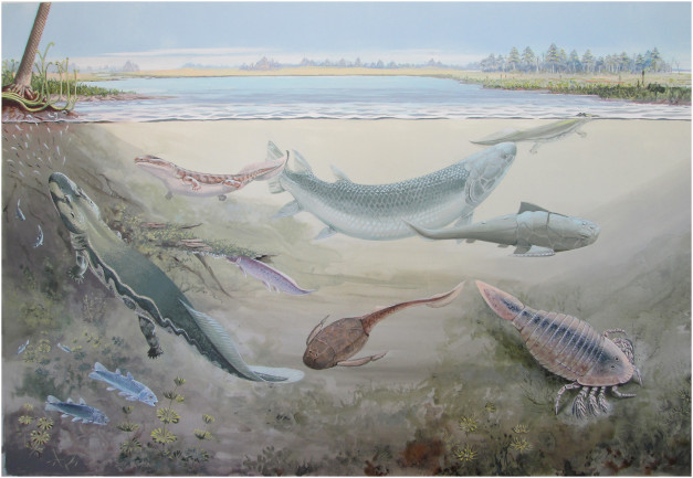 Figure 13. Life reconstruction of the non-marine component of the biota at Waterloo Farm.