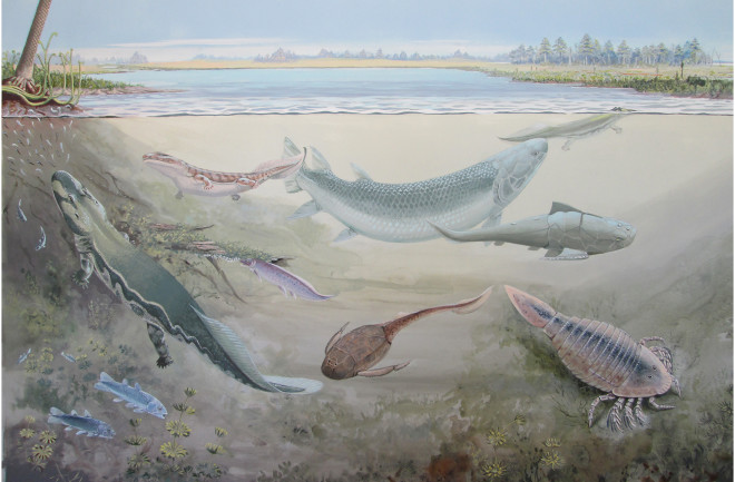 Fig 13. Life reconstruction of the non-marine component of the Waterloo Farm biota.