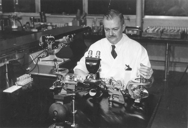 clarence-cook-little.jpg