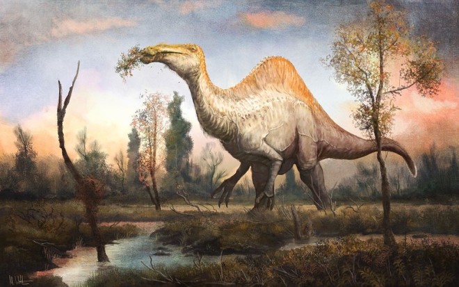 Deinocheirus, genus of large ornithomimosaur