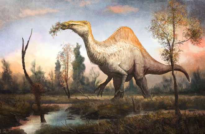Deinocheirus, genus of large ornithomimosaur