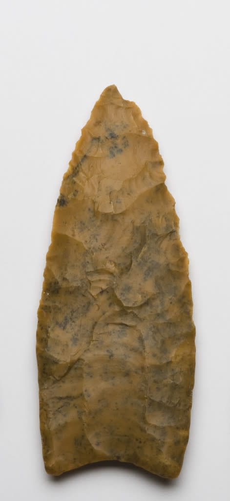 Clovis Point - DMNS