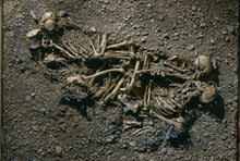 skeleton-family.jpg