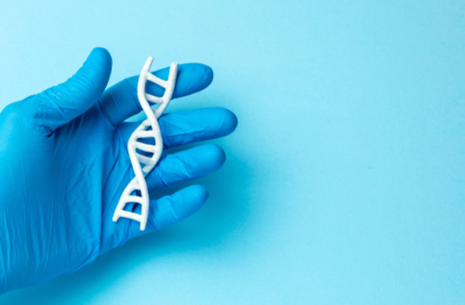 Scientist holds DNA helix