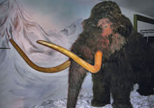 woolly-mammoth2.jpg