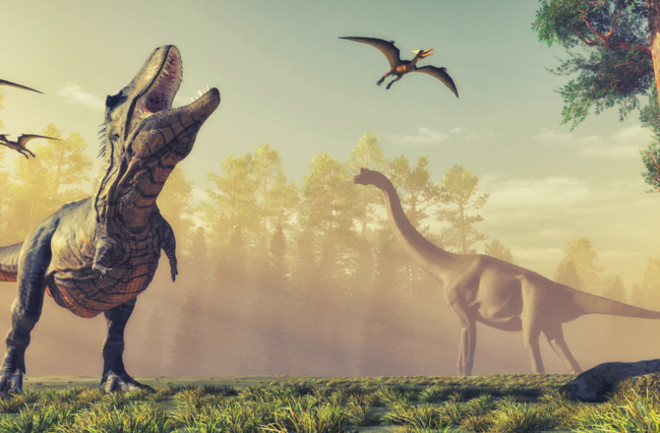 Dinosaur descendants