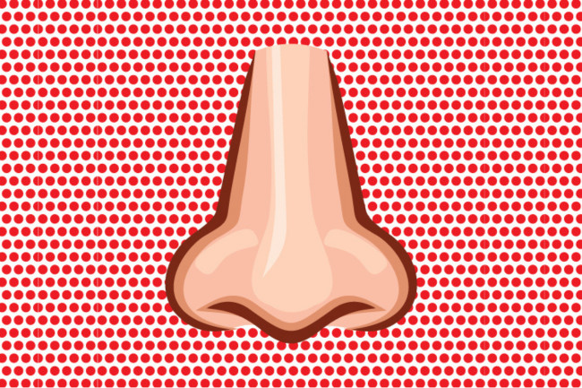 Nose illustration