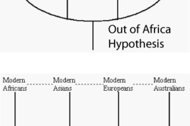 allhypothesis.jpg