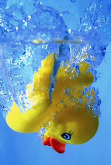 rubber-duck.jpg