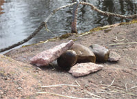 Rockpile.jpg