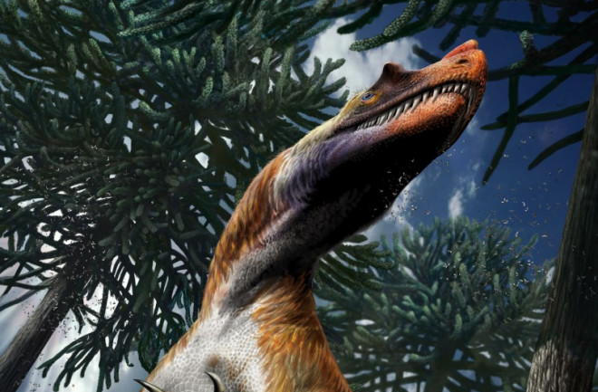 Saltriovenator was likely covered with filamentous protoplumage. The presence of horns on the lacrymal and nasal bones is inferred from its close kinship with dinosaurs which possess those cranial onamentation. Credit: Davide Bonadonna.